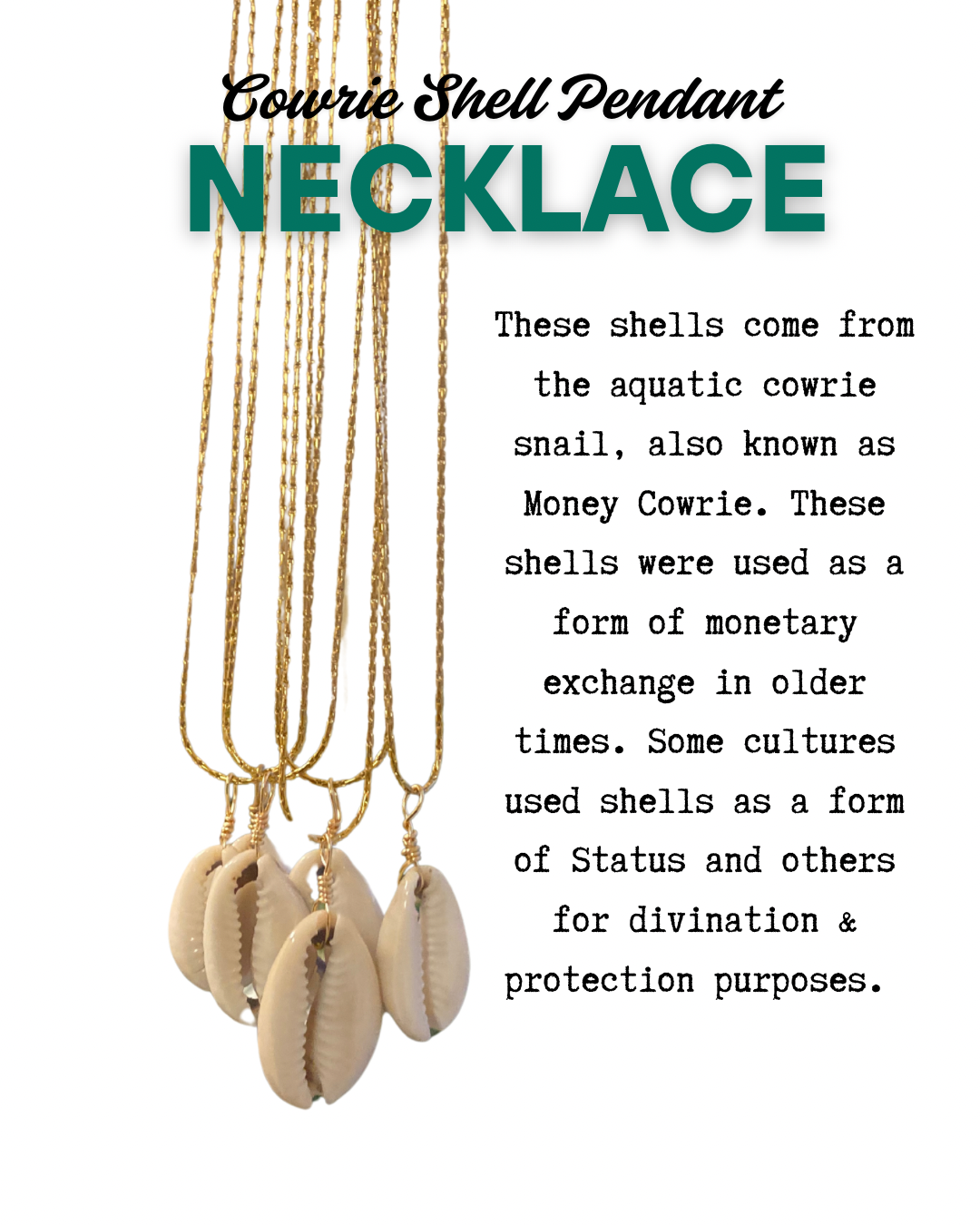 Cowrie Shell Necklace